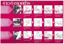 Child development Chart for 4-6 months old